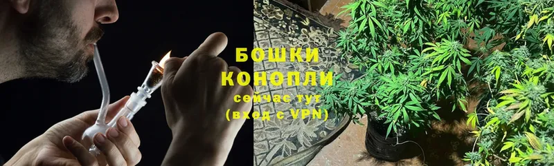 Конопля индика  Ставрополь 